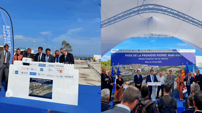 photo article premiere pierre haliotis2 1